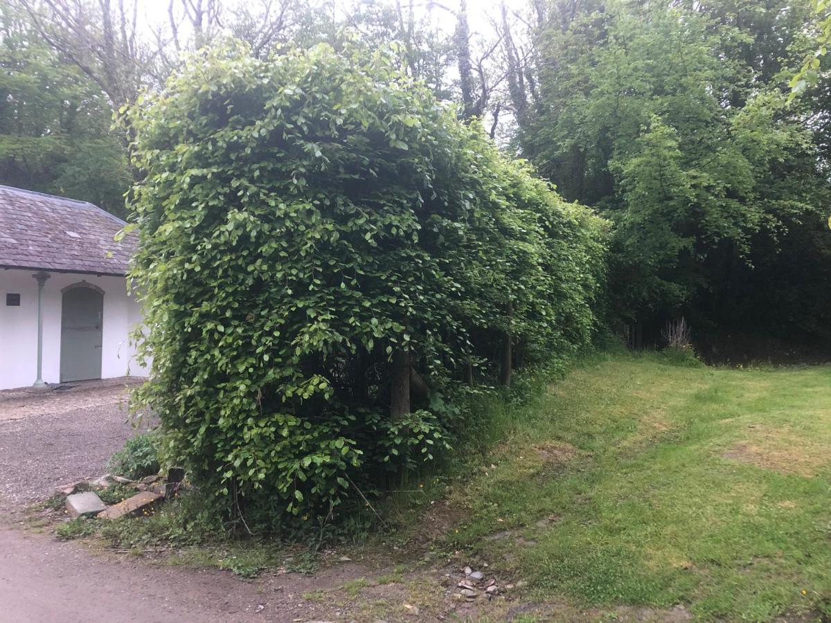 Stables Cottage, Idyllic Location Stunning Views Llandysul Exteriér fotografie